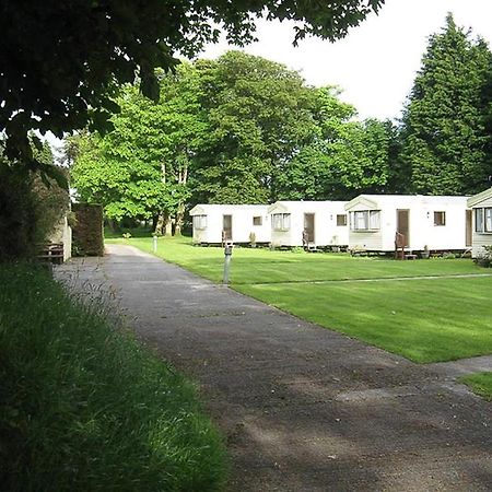 Cosy Caravan At Blackmoor Farm Ludchurch المظهر الخارجي الصورة